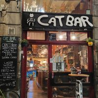  at Cat Bar in Barcelona