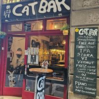  at Cat Bar in Barcelona