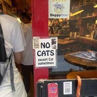   at Cat Bar in Barcelona