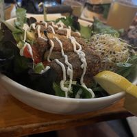   at Cat Bar in Barcelona