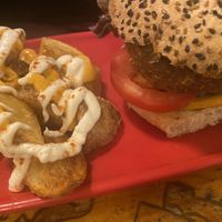   at Cat Bar in Barcelona