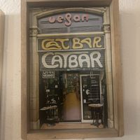   at Cat Bar in Barcelona
