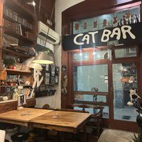   at Cat Bar in Barcelona
