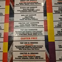  at Cat Bar in Barcelona