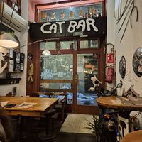  at Cat Bar in Barcelona