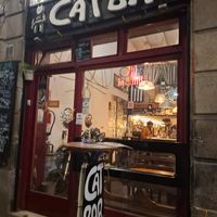 Cat lover could not walk past this! at Cat Bar in Barcelona
