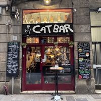 iconic  at Cat Bar in Barcelona