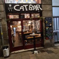  at Cat Bar in Barcelona