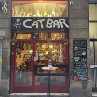  at Cat Bar in Barcelona