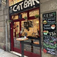   at Cat Bar in Barcelona