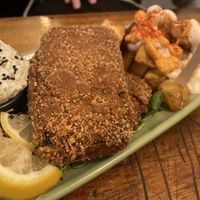 Tofuish  at Cat Bar in Barcelona