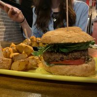 The Crazy at Cat Bar in Barcelona