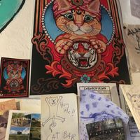 Cats! at Cat Bar in Barcelona