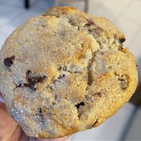 Cherry chocolate chip muffin   at Hard Times Cafe in Minneapolis