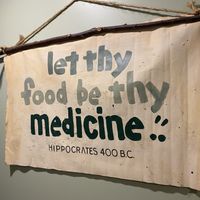 Cute artwork at Flatbread Company  in Portland