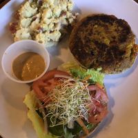 Veggie burger with potato salad at Lotus Cafe in Panama City Beach