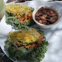 Raw Wrap with Beans and Rice at Lotus Cafe in Panama City Beach
