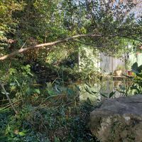 Outside gardens at Lotus Cafe in Panama City Beach