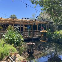 Outdoor shaded seating    at Lotus Cafe in Panama City Beach