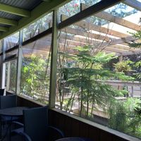 Screened in outdoor seating   at Lotus Cafe in Panama City Beach