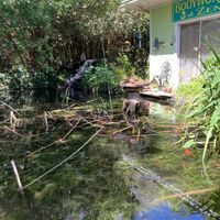 View from our table  at Lotus Cafe in Panama City Beach