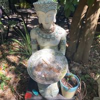   at Lotus Cafe in Panama City Beach