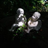 Zen Garden at Lotus Cafe in Panama City Beach