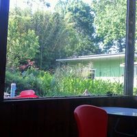 Gardens  at Lotus Cafe in Panama City Beach