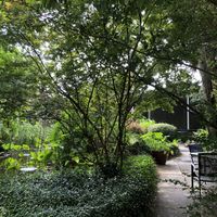 You can sit outside! Or inside at Lotus Cafe in Panama City Beach