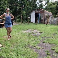 Cute garden shed at Lotus Cafe in Panama City Beach