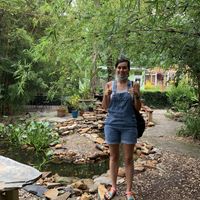 Koi pond much  at Lotus Cafe in Panama City Beach