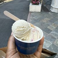 Double scoop of ice cream   at Premium SOW in Tokyo