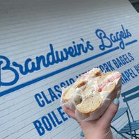 Salt bagel, vegan cream cheese, and tomato at Brandwein's Bagels in Chapel Hill