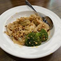 Spicy Dumplings at Veggie House  in Chicago