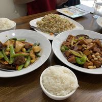 Housed Fried Rice, Kung Pao Tofu, Mushroom Medley at Veggie House  in Chicago