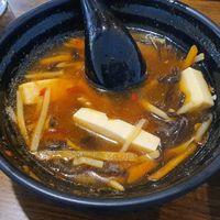 Hot and Sour Soup (good but too hot for me lol) at Veggie House  in Chicago
