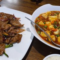 5 stars Mongolian Soy not Beef (left) and Mapo Tofu (right) at Veggie House  in Chicago