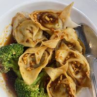 Spicy dumplings   at Veggie House  in Chicago