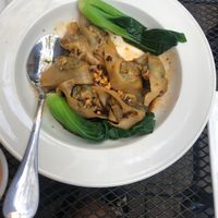 Spicy Vegetable Dumplings  at Veggie House  in Chicago