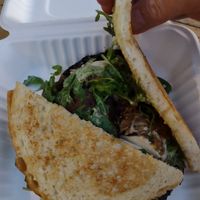  at Haywood Common in Asheville