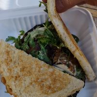 Portobello mushroom sandwich, with toasted sourdough bread. at Haywood Common in Asheville