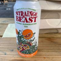 Spiked kombucha  at Haywood Common in Asheville