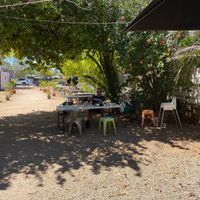 Courtyard is lovely  at The Finch Cafe in Katherine