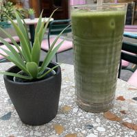 Iced matcha latte with oat milkk  at WOOOW Matcha in Belgrade