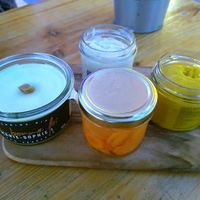 Fake foie-gras and dips at Le Botanique in Toulouse