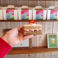 A light yet lucious cake! at hal okada - vegan sweets lab in Tokyo