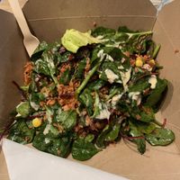   at Cosy Jazz Cafe in Blackpool