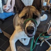  at Cosy Jazz Cafe in Blackpool