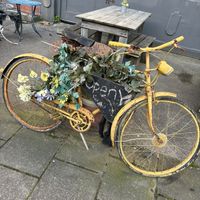   at Cosy Jazz Cafe in Blackpool