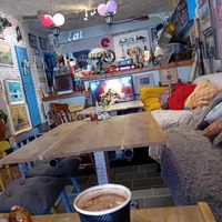  at Cosy Jazz Cafe in Blackpool